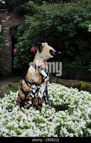 Sculpture en briques LEGO d'animaux en voie de disparition du monde entier - exposée à Sewerby Gardens, East Yorkshire, Angleterre. Chien de prairie Banque D'Images