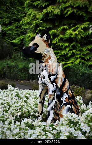Sculpture en briques LEGO d'animaux en voie de disparition du monde entier - exposée à Sewerby Gardens, East Yorkshire, Angleterre. Chien de prairie Banque D'Images