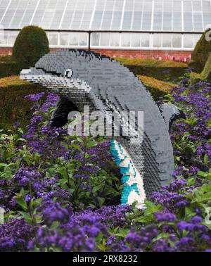 Sculpture en briques LEGO d'animaux en voie de disparition du monde entier - exposée à Sewerby Gardens, East Yorkshire, Angleterre. Création Dolphin Banque D'Images