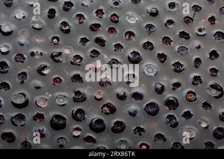 Fond de fruits de bleuets. Gouttes d'eau sur la myrtille douce mûre. Collection de baies bleues et noires. Image conceptuelle des aliments Superfood. Haute qualité Banque D'Images