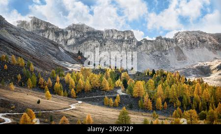 Mélèzes changeant de couleur en automne par une journée ensoleillée au Col d'Izoard dans les Alpes françaises, un petit chemin menant à de hautes falaises en t Banque D'Images