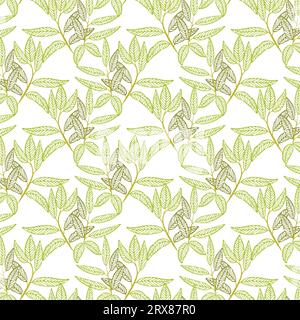 Un motif vert de jaal de vigne feuillue sur un fond blanc Illustration de Vecteur