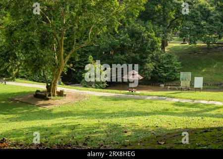 Les jardins botaniques de Penang, Pulau Pinang, Malaisie Banque D'Images