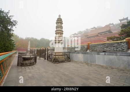 Sculptures en pierre devant le site Xumi Lingjing dans le Palais d'été, Pékin Banque D'Images