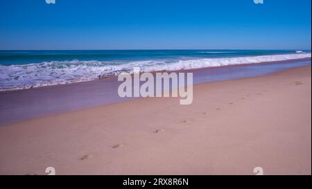 Pour un arrière-plan avec l'océan avec un ciel bleu clair, surf et vagues brisantes, le long d'une plage de sable humide dans un hol idyllique, romantique et relaxant Banque D'Images