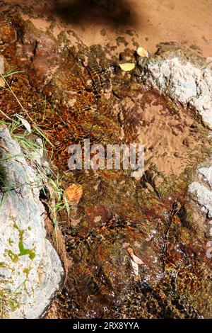 Gros plan de quelques rochers colorés à Horton creek près de Payson, Arizona. Banque D'Images