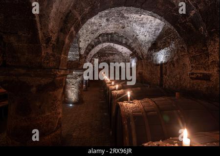 Trèves, Allemagne. 19 septembre 2023. Les fûts de vin en bois sont stockés dans la cave à vin de la cave de la fondation Vereinigte Hospitien à Trèves. L'ancien grenier romain de l'empereur Constantin de l'époque vers 330 est considéré comme l'origine de la plus ancienne cave à vin d'Allemagne. (To dpa text) crédit : Harald Tittel/dpa/Alamy Live News Banque D'Images