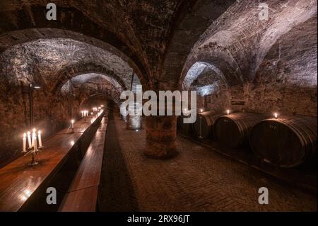 Trèves, Allemagne. 19 septembre 2023. Des fûts de vin en bois sont stockés, des tables et des bancs pour les dégustations se tiennent dans la cave à vin de la cave de la fondation Vereinigte Hospitien à Trèves. L'ancien grenier romain de l'empereur Constantin de l'époque vers 330 est considéré comme l'origine de la plus ancienne cave à vin d'Allemagne. (To dpa text) crédit : Harald Tittel/dpa/Alamy Live News Banque D'Images