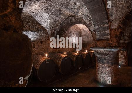 Trèves, Allemagne. 19 septembre 2023. Les fûts de vin en bois sont stockés dans la cave à vin de la cave de la fondation Vereinigte Hospitien à Trèves. L'ancien grenier romain de l'empereur Constantin de l'époque vers 330 est considéré comme l'origine de la plus ancienne cave à vin d'Allemagne. (To dpa text) crédit : Harald Tittel/dpa/Alamy Live News Banque D'Images