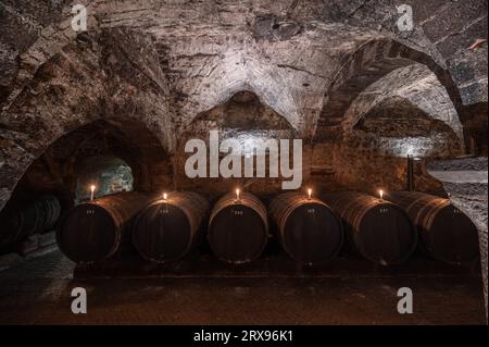 Trèves, Allemagne. 19 septembre 2023. Les fûts de vin en bois sont stockés dans la cave à vin de la cave de la fondation Vereinigte Hospitien à Trèves. L'ancien grenier romain de l'empereur Constantin de l'époque vers 330 est considéré comme l'origine de la plus ancienne cave à vin d'Allemagne. (To dpa text) crédit : Harald Tittel/dpa/Alamy Live News Banque D'Images