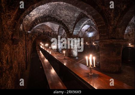 Trèves, Allemagne. 19 septembre 2023. Des fûts de vin en bois sont stockés, des tables et des bancs pour les dégustations se tiennent dans la cave à vin de la cave de la fondation Vereinigte Hospitien à Trèves. L'ancien grenier romain de l'empereur Constantin de l'époque vers 330 est considéré comme l'origine de la plus ancienne cave à vin d'Allemagne. (To dpa text) crédit : Harald Tittel/dpa/Alamy Live News Banque D'Images