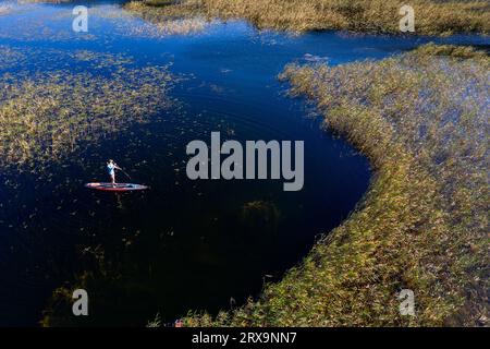 Vue aérienne de aWoman pagayant sur stand up paddle (SUP) avec une belle lumière le jour d'été sur le lac Cerknica, entouré d'une forêt luxuriante, Slovénie Banque D'Images