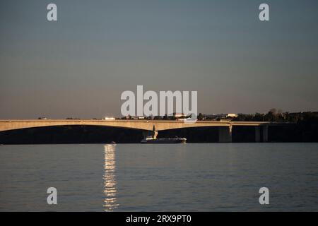 Belgrade, Serbie, 2 septembre 2023 : une barge fluviale naviguant le long du Danube en amont passe sous le pont Pupin (Pupinov Most) au coucher du soleil Banque D'Images