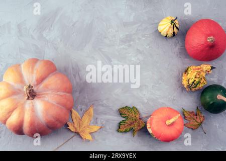 Fond festif d'automne avec diverses citrouilles et feuilles jaunes sur béton gris. Vue de dessus, pose à plat, espace de copie. Banque D'Images