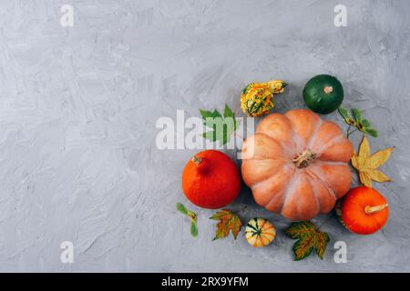 Fond festif d'automne avec diverses citrouilles et feuilles jaunes sur béton gris. Vue de dessus, pose à plat, espace de copie. Banque D'Images