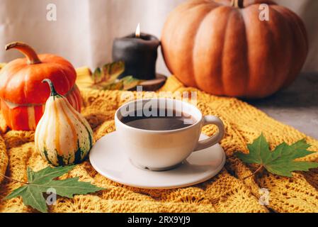 Citrouilles oranges, tasse à café et bougie sur chandail jaune. Nature morte d'automne, Halloween ou Thanksgiving concept. Banque D'Images