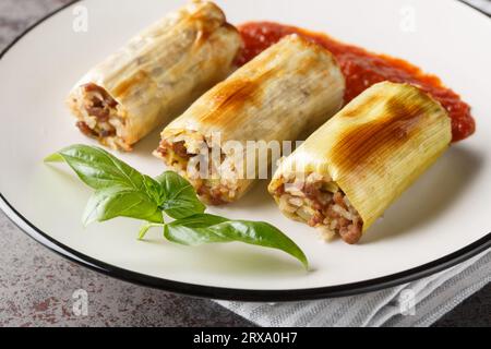 Dolma turc poireau farci de riz et de viande Pirasa Sarma gros plan dans une assiette sur la table. Horizontal Banque D'Images