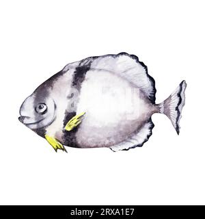 Illustration à l'aquarelle dessinée à la main de poissons tropicaux de récif corallien. Elément de conception isolé d'aventure de voyage sous-marin. Banque D'Images