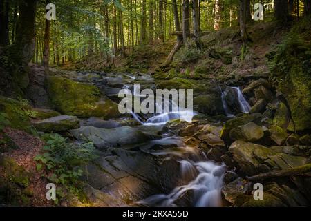 Cascade Szepit, torrent Hylaty, montagnes Bieszczady, Parc National Bieszczadzki, la région la plus sauvage de Pologne, montagnes polonaises et paysages Banque D'Images