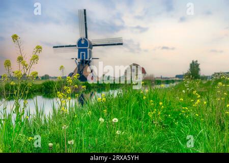 POLDER Windmill Geremolen de Blauwe WIP en Hollande du Sud, pays-Bas Banque D'Images
