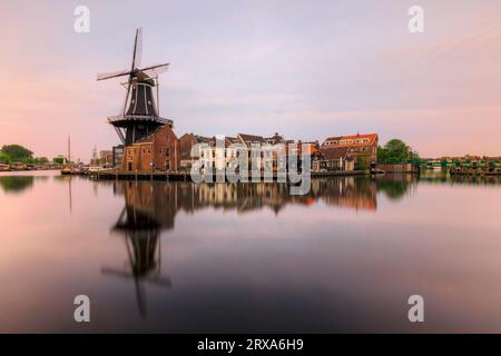 Adriaan De Moulin à Haarlem, Pays-Bas Banque D'Images