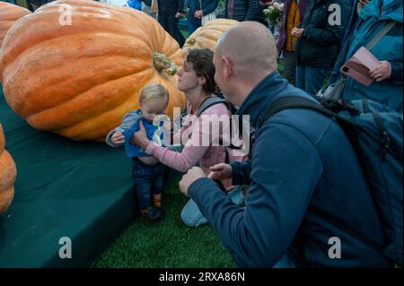 Maman et papa ont mis leur enfant à côté de la plus grande citrouille au spectacle d'automne de Malvern qui s'est tenu au Three Counties Showgrounds à Malvern dans le Worcestershire Banque D'Images