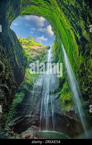 Belles cascades en journée ensoleillée, vue de dessous Madakaripura Waterfall est la plus haute cascade de Java oriental, Indonésie Banque D'Images