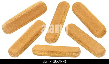 Biscuits savoiardi italiens, biscuits coccinelles isolés sur fond blanc, pleine profondeur de champ Banque D'Images