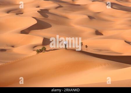 Un randonneur solitaire profite de la vue sur les dunes de sable d'Ubari, en Libye Banque D'Images