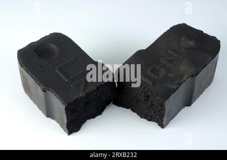 Briquette de lignite, briquette de lignite, lignite, brickett, charbon, briquette de charbon, énergie de charbon, combustibles fossiles, exonéré, objet Banque D'Images