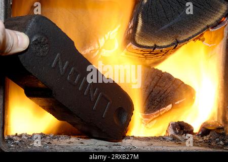 Feu avec briquettes de lignite, lignite, charbons bruns, brickett, charbon, bricketts de charbon, énergie de charbon, combustibles fossiles, chaleur, combustion Banque D'Images