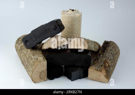 Briquettes de lignite, briquettes et grumes de bois, lignite, lignite, brickett, charbon, bricketts de charbon, énergie de charbon, bois de chauffage, combustibles fossiles, exonéré, objet Banque D'Images