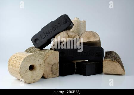 Briquettes de lignite, briquettes et grumes de bois, lignite, lignite, brickett, charbon, bricketts de charbon, énergie de charbon, bois de chauffage, combustibles fossiles, exonéré, objet Banque D'Images