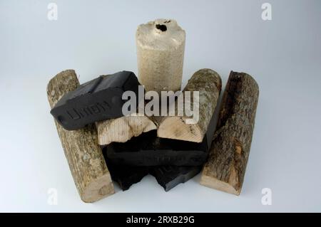 Briquettes de lignite, briquettes et grumes de bois, lignite, lignite, brickett, charbon, bricketts de charbon, énergie de charbon, bois de chauffage, combustibles fossiles, exonéré, objet Banque D'Images