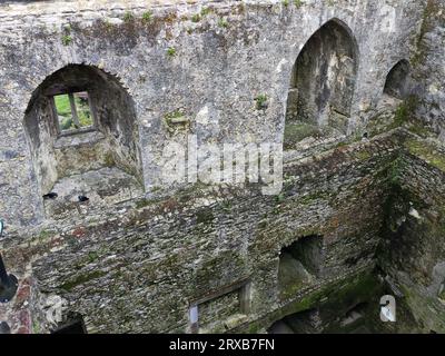 Murs et fenêtres du château de Blarney en Irlande, ancienne forteresse celtique et château Banque D'Images