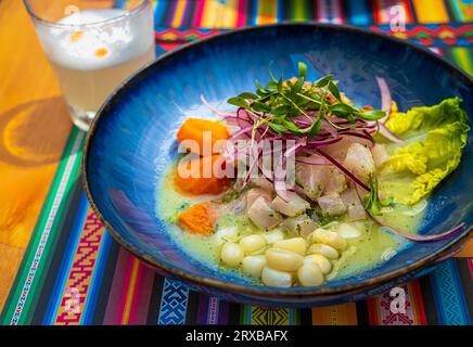 Ceviche frais servi dans une assiette bleue sur un napperon avec motifs traditionnels et cocktail Pisco Sour. Mise au point sélective, arrière-plan flou. Ceviche de style péruvien à base de poisson cru, oignons rouges, maïs, maïs rôti et patate douce. Banque D'Images