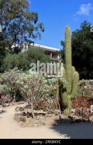 Arizona Garden, Stanford University, Californie Banque D'Images