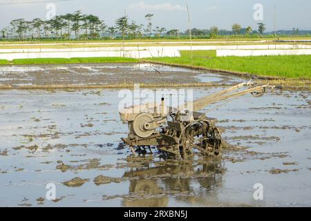 Agriculteur labourant un champ boueux avec un tracteur à main. Un agriculteur utilise un tracteur pour labourer un champ de riz rempli d'eau afin de préparer la prochaine saison de plantation. Banque D'Images