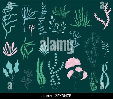 Ensemble dessiné à la main d'algues élégantes avec texture. Illustration vectorielle de plantes marines sous-marines. Illustration de Vecteur
