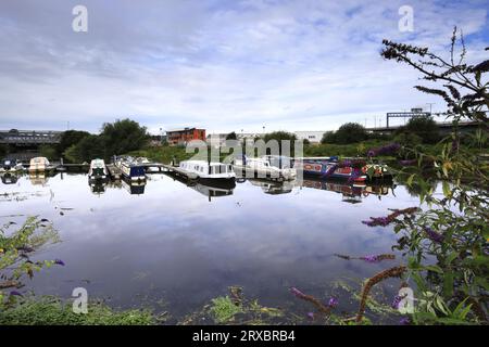 Bateaux de plaisance à Doncaster Wharf, rivière Don, South Yorkshire, Angleterre, Royaume-Uni Banque D'Images