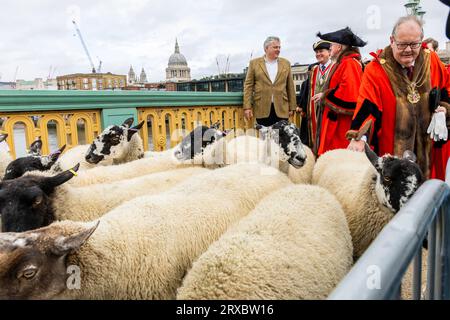 Londres, Royaume-Uni, le 24 septembre 2023, le chef Freeman Richard Corrigan, maître de la Woolmen's Company - conseiller municipal Vincent Keavney, Sir Andrew Parlmley, maire de Locum Tenens et les Sheriffs of the City mènent la première promenade à travers Southwark Bridge, cet événement caritatif annuel perpétue la tradition des droits de Freemen de « conduire » des moutons à travers la Tamise. Chrysoulla.Photography/Alamy Live News Banque D'Images