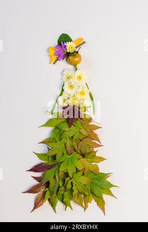 figure féminine, femme faite de feuilles automnales vertes, isolée sur fond blanc Banque D'Images