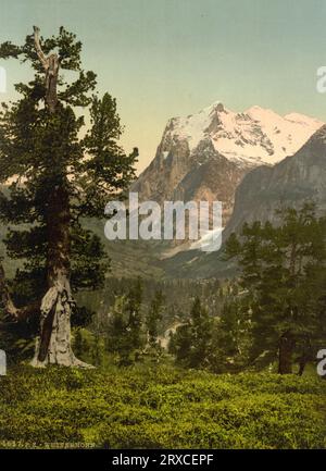 Wetterhorn, Alpes bernoises, Berne, Suisse 1890. Banque D'Images