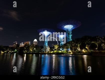 Jardins par les superarbres de la baie pendant le jardin rhapsody spectacle de lumière la nuit. Attraction touristique célèbre à Singapour. Banque D'Images