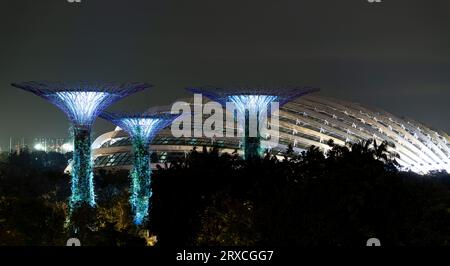 Jardins par les superarbres de la baie pendant le jardin rhapsody spectacle de lumière la nuit. Attraction touristique célèbre à Singapour. Banque D'Images