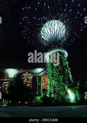 Jardins par les superarbres de la baie pendant le jardin rhapsody spectacle de lumière la nuit. Attraction touristique célèbre à Singapour. Banque D'Images