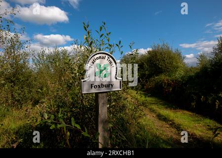 Sentier qui mène à travers la zone Foxbury National Trust dans le New Forest Hampshire montrant signe avec le logo National Trust. Banque D'Images