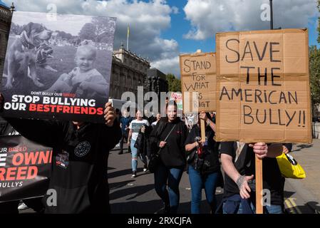 Manifestation contre l'interdiction des chiens XL Bully au Royaume-Uni d'ici fin 2023. Le XL est une variante de la race American Bully. Sauvez l'affiche American Bully Banque D'Images