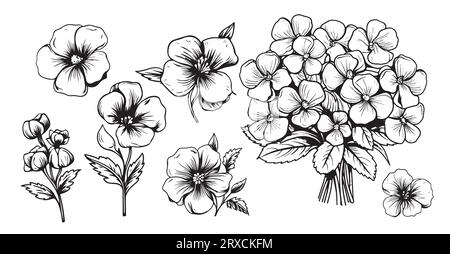 ENSEMBLE de fleurs de jardin vectoriel dessinées à la main croquis de fleur violette Illustration de Vecteur