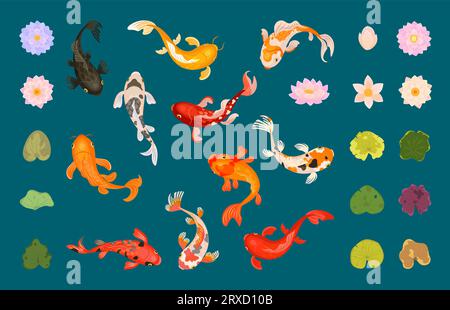 Poisson koi et lotus. Collection d'éléments botaniques, design de lac de jardin de style japonais. Personnages sous-marins et nature, clipart vectoriel nowaday Illustration de Vecteur